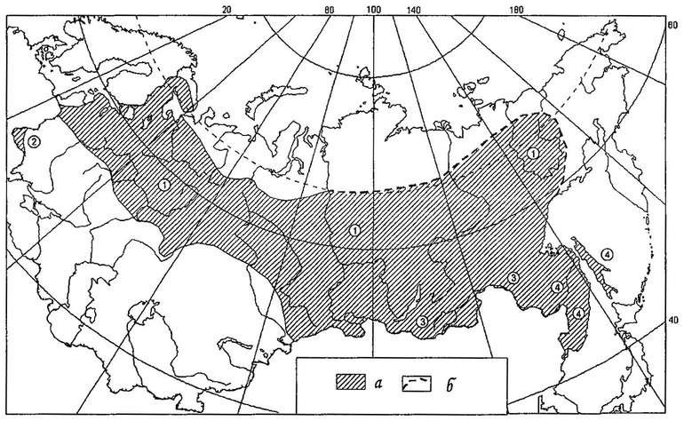 Рисунок 15. Ареал длиннохвостой неясыти в Восточной Европе и Северной Азии: