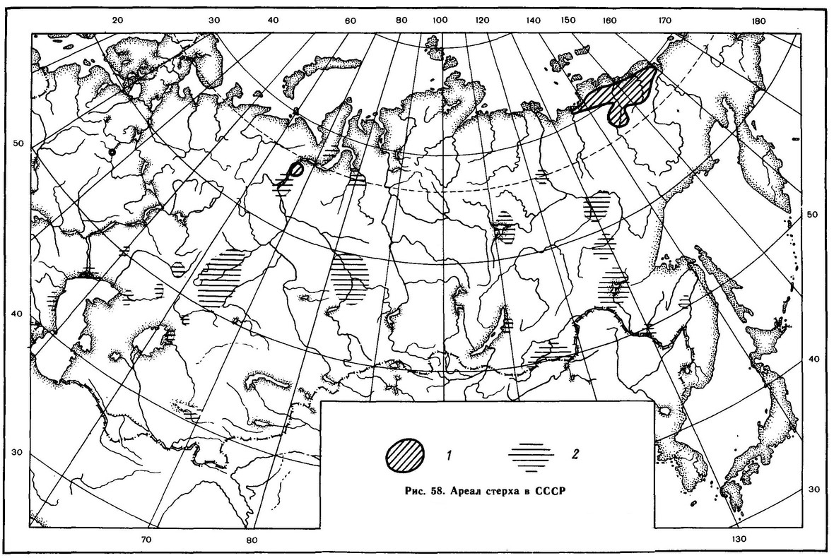 Рисунок 58. Ареал стерха в СССР