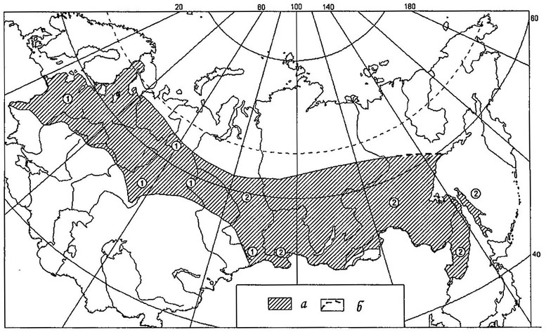 Рисунок 7. Ареал воробьиного сыча в Восточной Европе и Северной Азии: