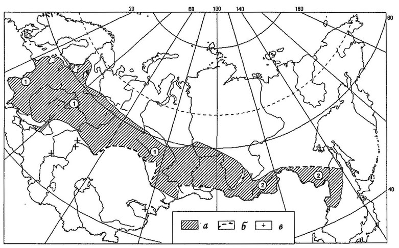 Рисунок 75. Ареал седого дятла в Восточной Европе и Северной Азии: