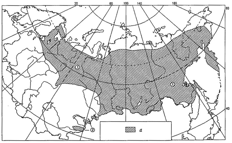 Рисунок 9. Ареал ястребиной совы в Восточной Европе и Северной Азии: